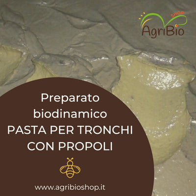 PASTA PER TRONCHI CON PROPOLI